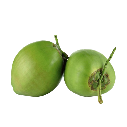 

KELAPA MUDA UTUH SATUAN ( 20001 )