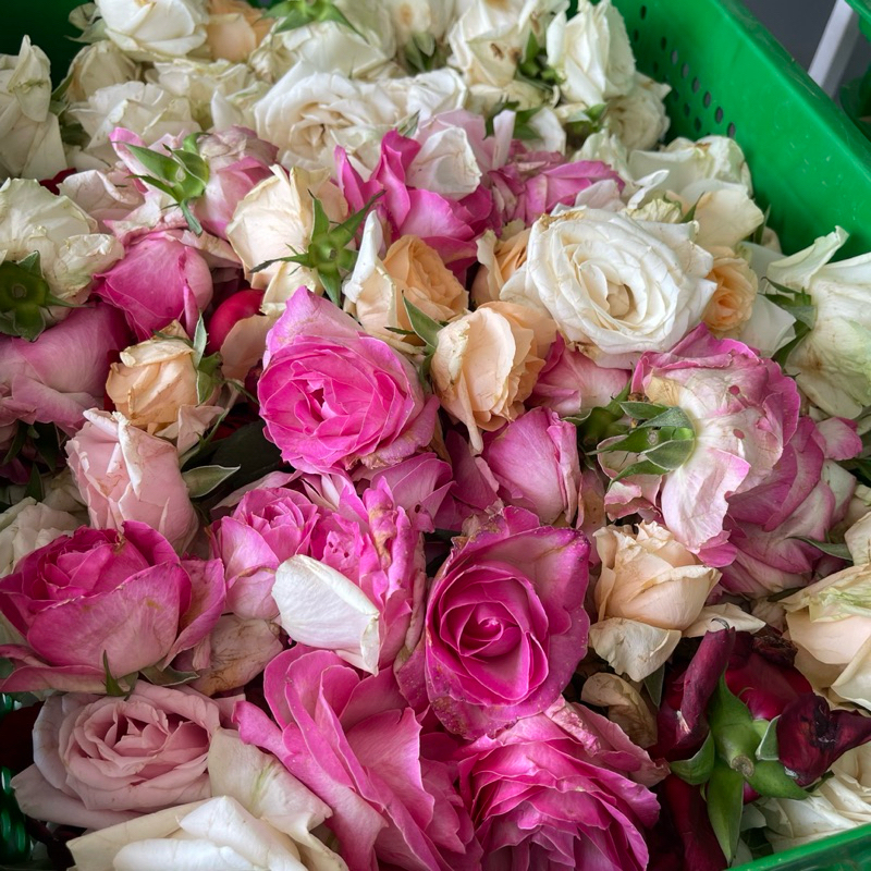 tabur bunga makam mawar  bunga tabur untuk ziarah makam