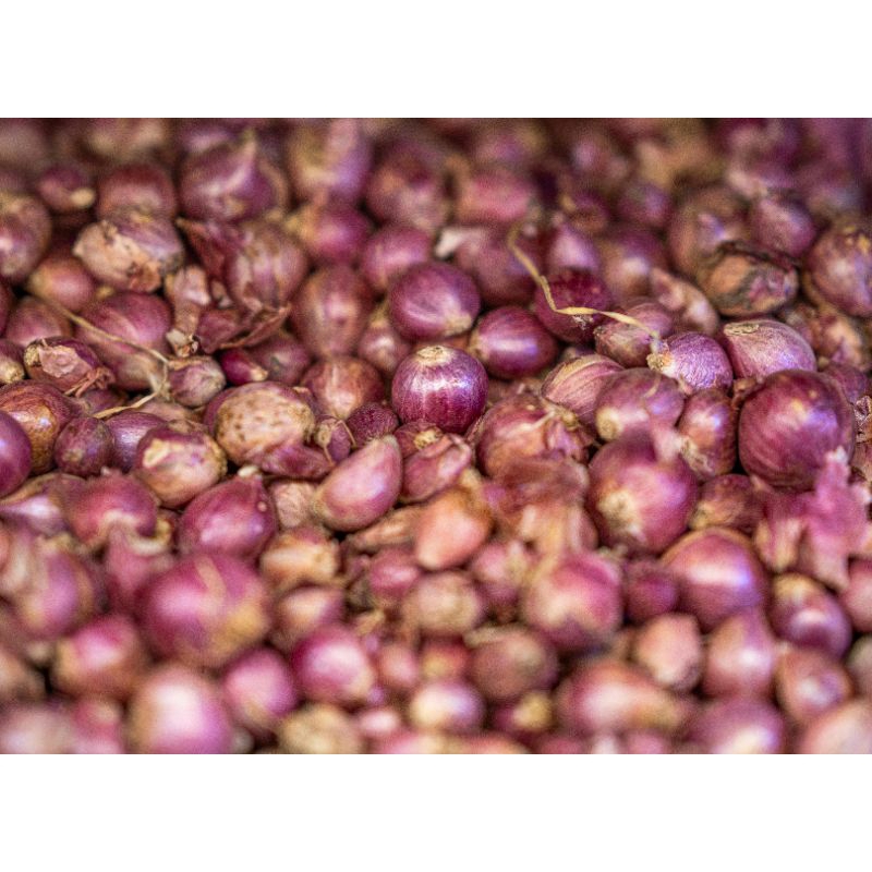 

bawang merah 100gr 250gr 500gr 1000gr