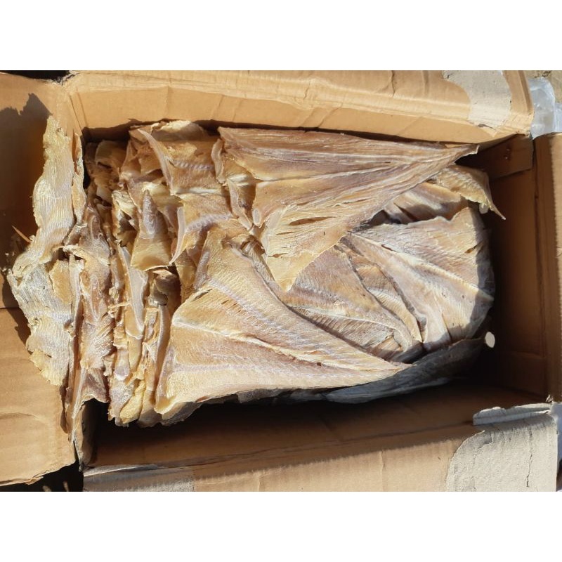 

Grosir Ikan Asin Dian - Ikan Asin Pari Alami