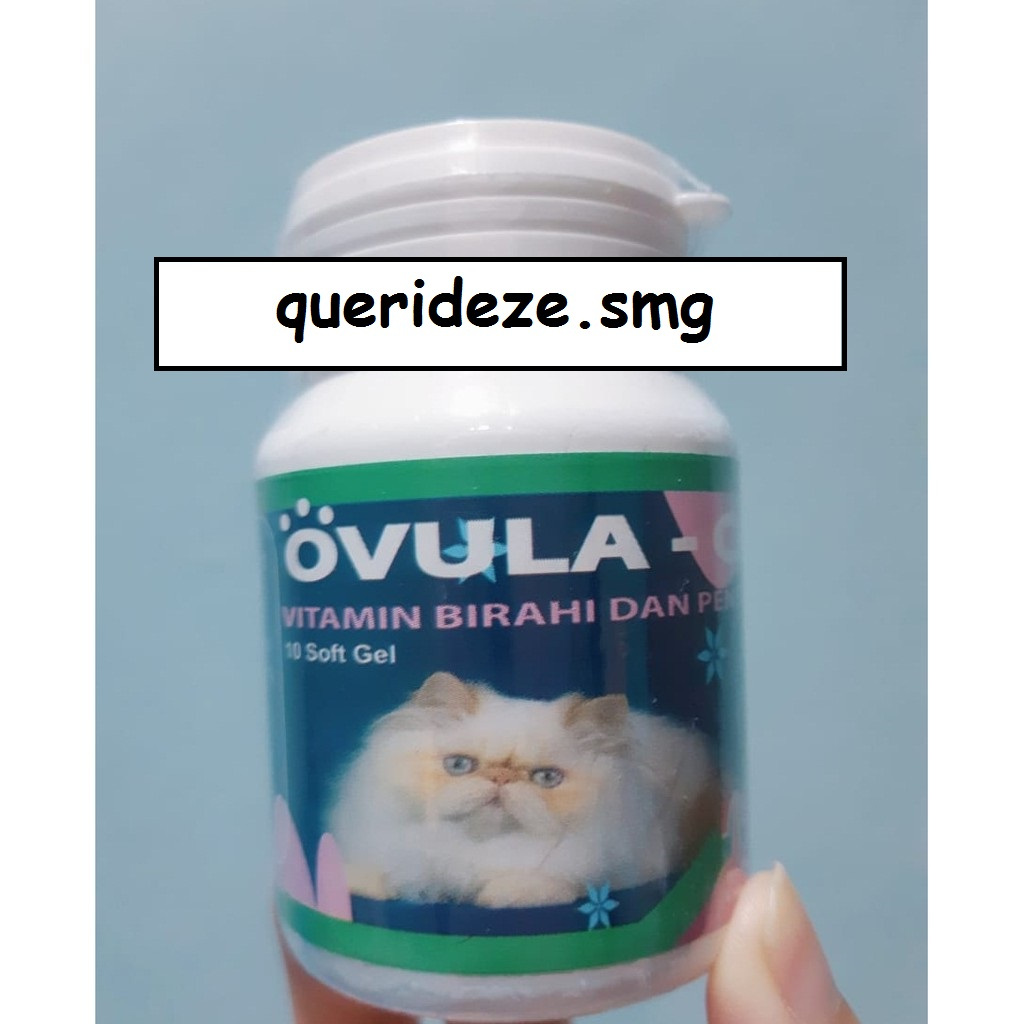 {PROMO} OVULA CAT 10 SOFT GELS OBAT KUCING - Mempercepat birahi kucing Betina, menyuburkan kandungan