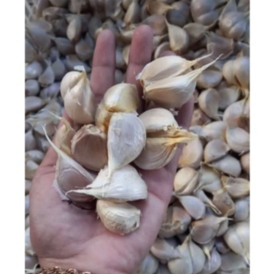 

Bawang Putih Bawang Merah Brebes 1 kg Murah Fresh