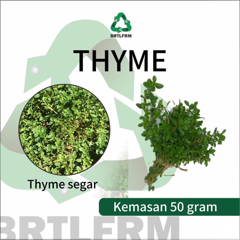 Daun Thyme Segar, Fresh Thyme, Thyme Organik, 50 Gr