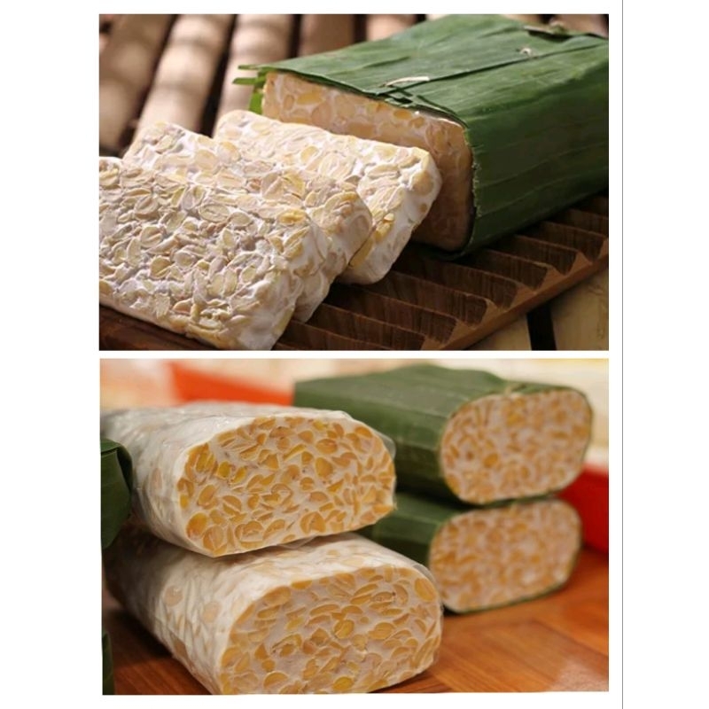 

tempe daun / tempe plastik