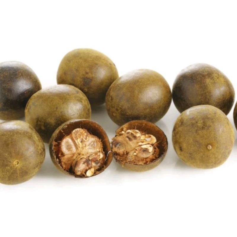 

BUAH LO HAN KUO(MEMBUANG PANAS DALAM) 6 butir