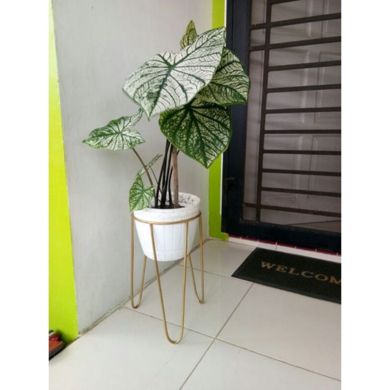 standing pot besi, standing besi