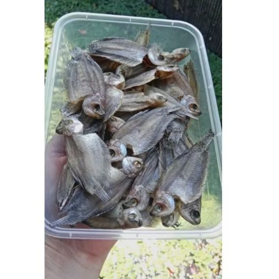 

ikan/iwak kering sapat hambar fres (jemuran hanyar)