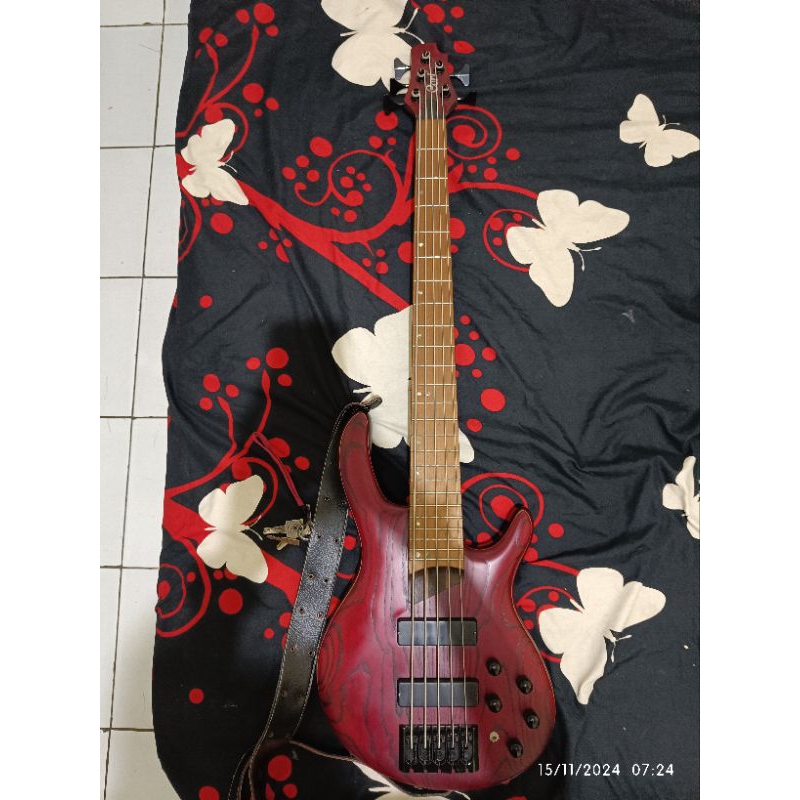 BASS CORT B5 OPEN PORE
