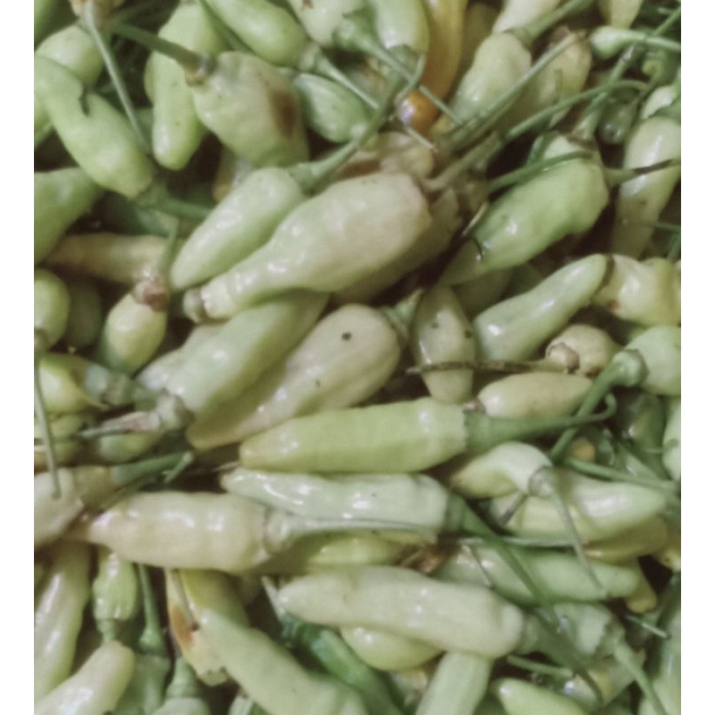 

rawit putih 500g