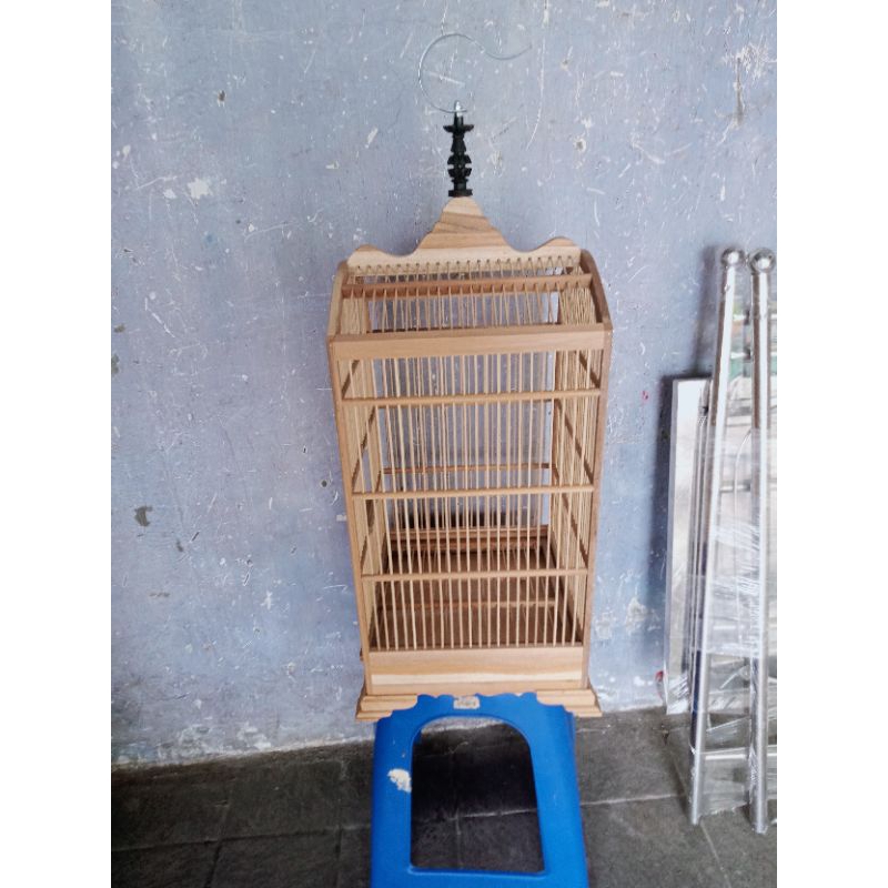 sangkar/kandang kosan pleci/ciblek kayu jati
