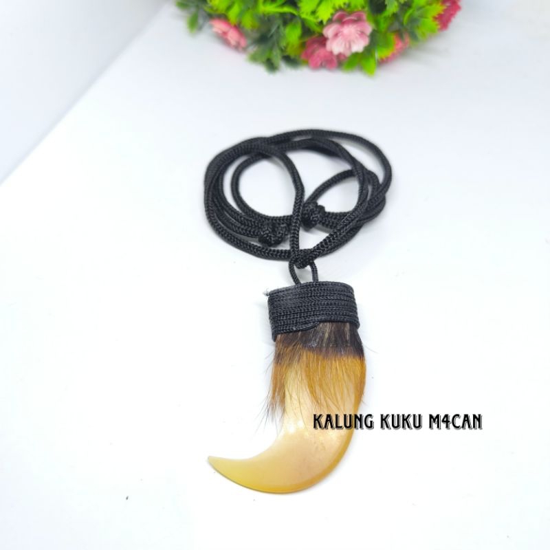 Kalung Liontin Kalung Liontin Motif Kuku dan Kalung Tarcan