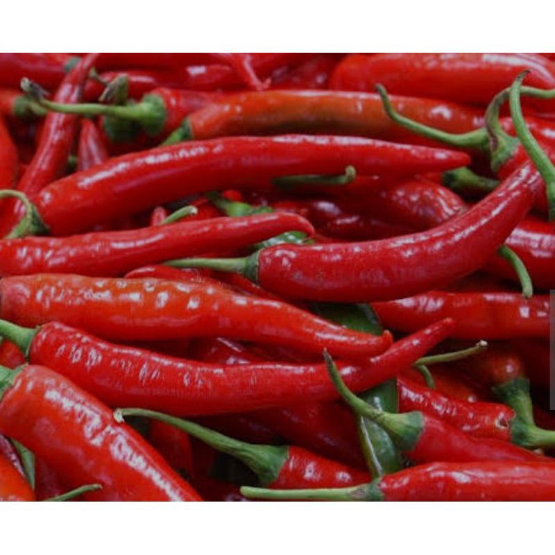 

CABE / CABE MERAH BESAR FRESH 500gr langsung dari petani
