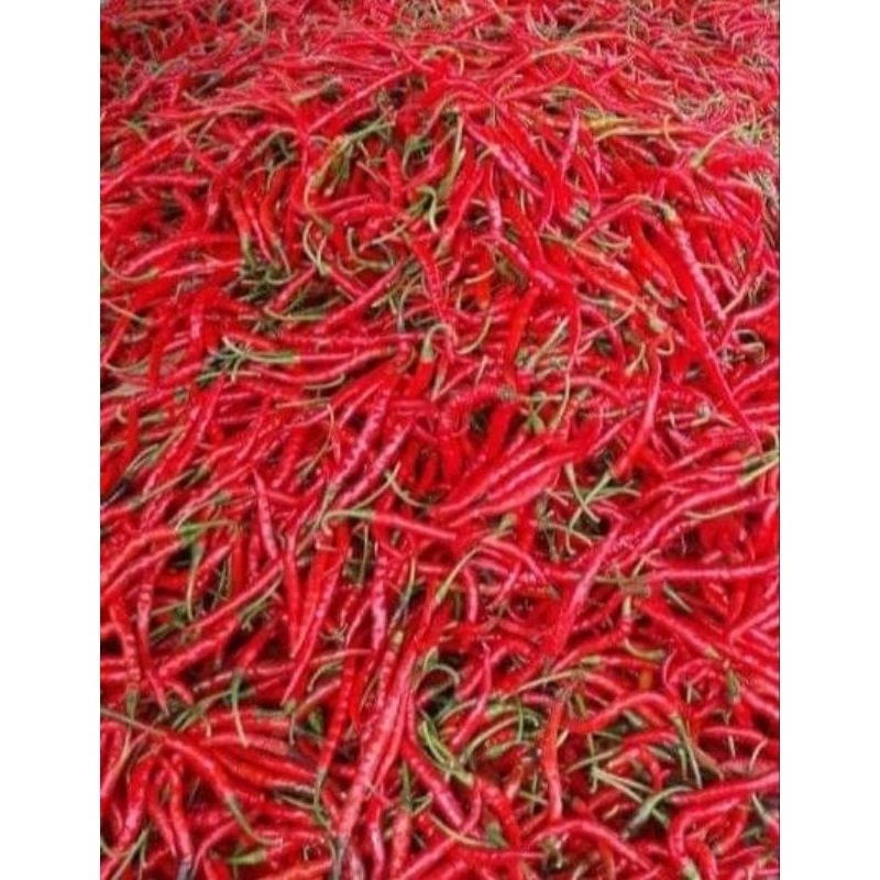 

cabe merah keriting 500gr