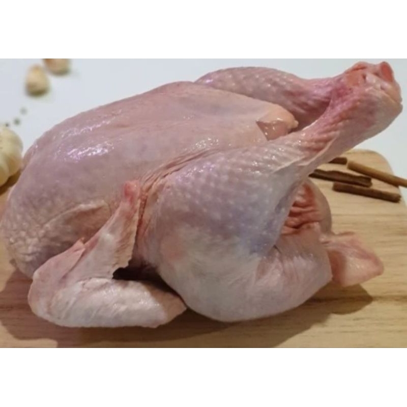 

Ayam potong