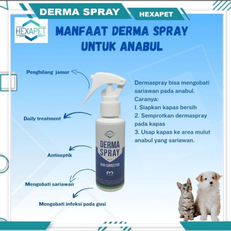 DERMA SPRAY 100ML Obat Anti Jamur Untuk Hewan Kucing Anjing Obat Antiseptik, Sariawan, Mengobati Inf