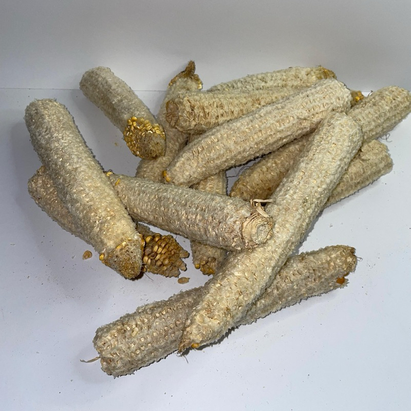 bonggol jagung,tongkol jagung,batang jagung/1kg 25-30 batang