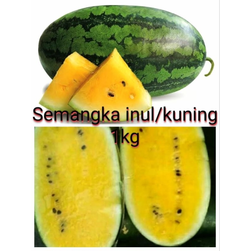 semangka kuning 1kg