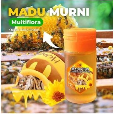 MADUCING - Madu Untuk Kucing Vitamin Kucing Penambah Nafsu Makan Kucing Sakit Imun Kucing Vitamin Ku
