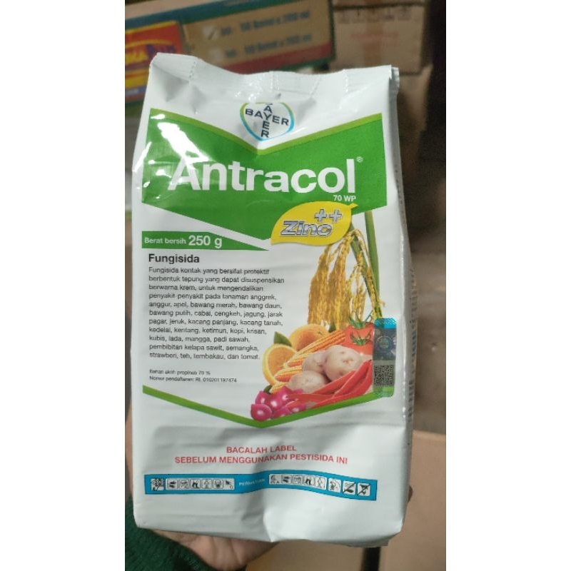 fungisida ANTRACOL 250gr