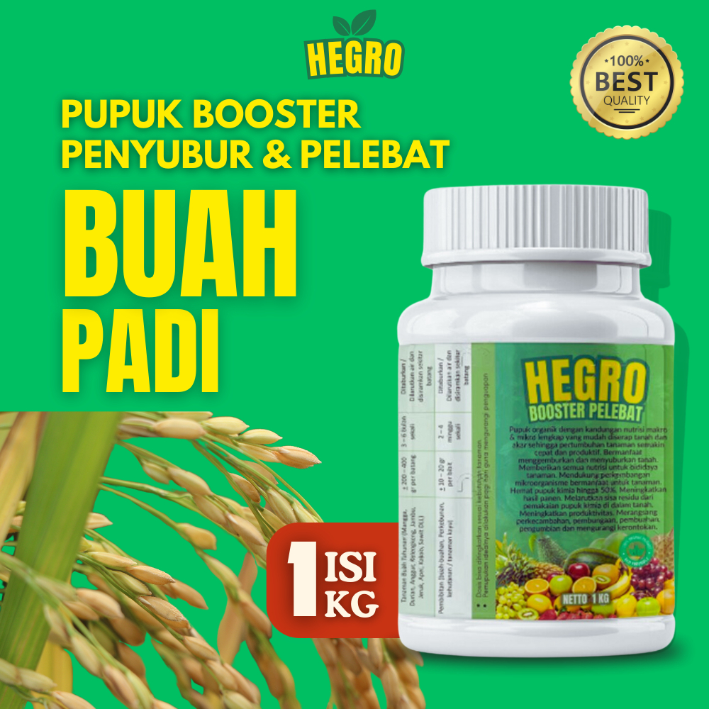 Pupuk Boster Pelebat Tanaman Padi Penyubur Perangsang Akar Daun Batang Bunga Buah