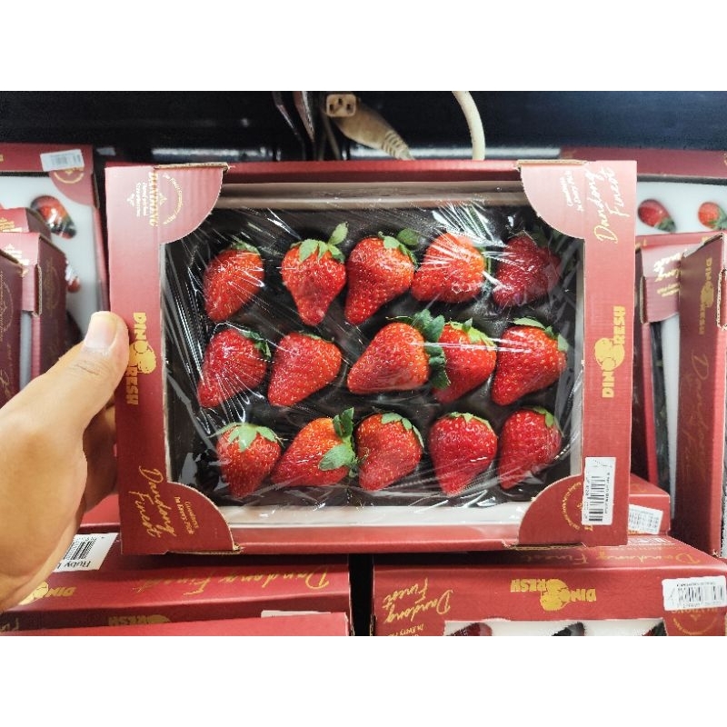 

Strawberry red Lantern premium / pack