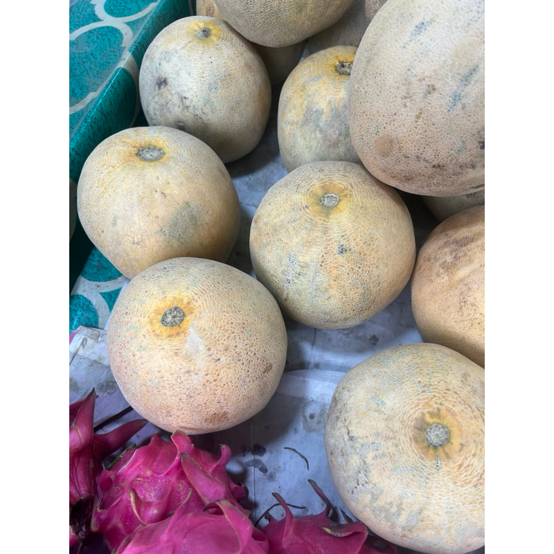 

melon madu feesh segar
