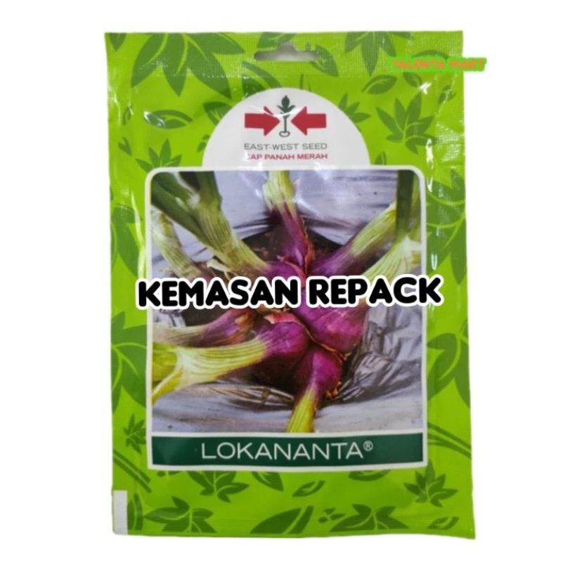200 BIJI BENIH BAWANG MERAH LOKANANTA