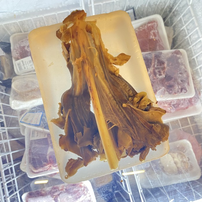 

Urat Tangkar dan Tulang Rangu 500gr setengah matang