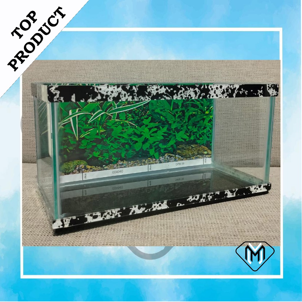 aquarium minimalis full set aquarium motif untuk ikan cana