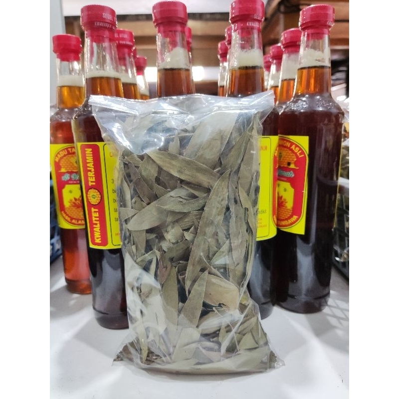 

Daun Kayu Putih Kering