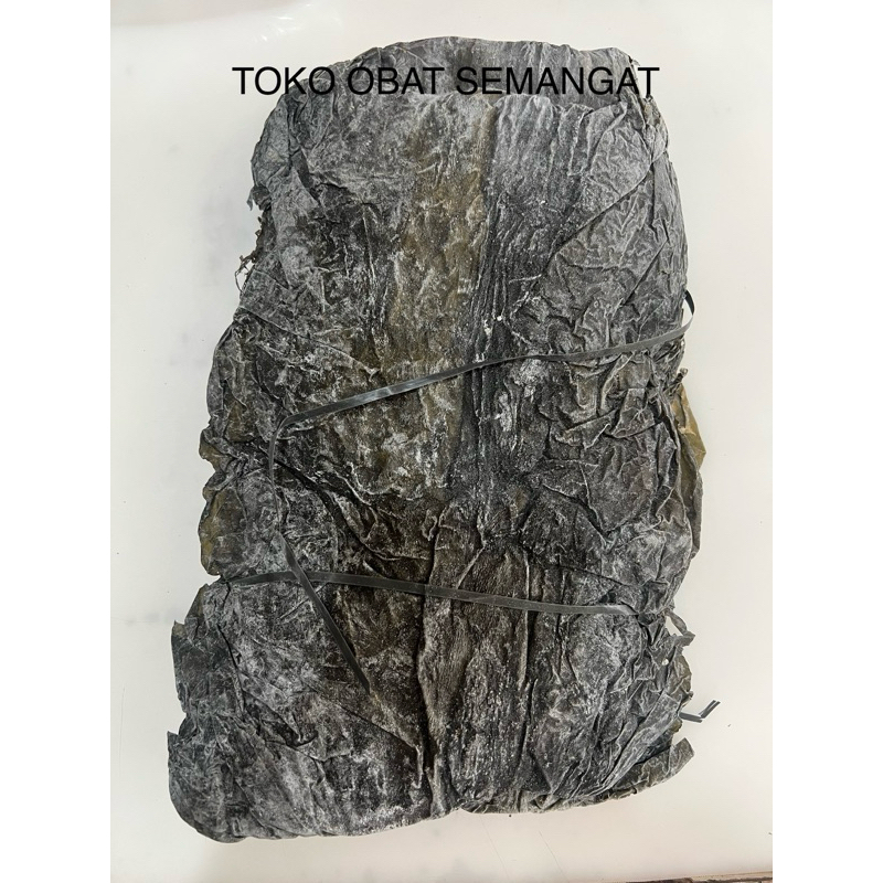 

100G Kombu Dashi Premium import / Konbu Dashi / Dried Kelp/ Ganggang Laut / Rumput Laut / Hai Tai / Haidai