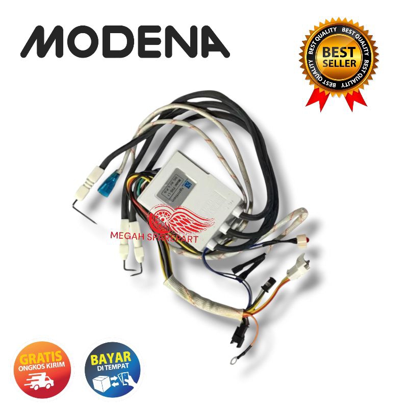 PULSE IGNITION - MODUL PEMANTI GAS WATER HEATER PEMANAS GAS MODENA