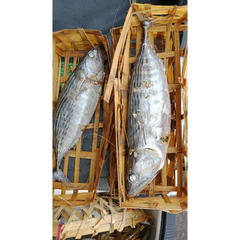 

IKAN TONGKOL PINDANG