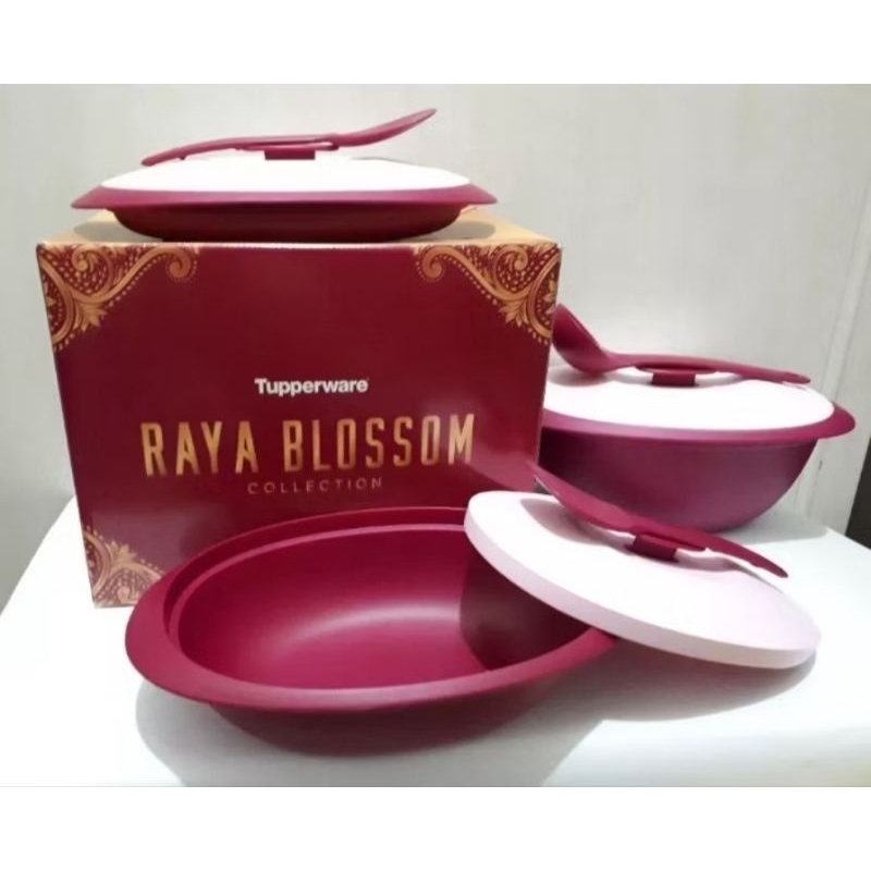 NEW RAYA BLOSSOM ECER / Tempat prasmanan Tupperware/ Vineyard