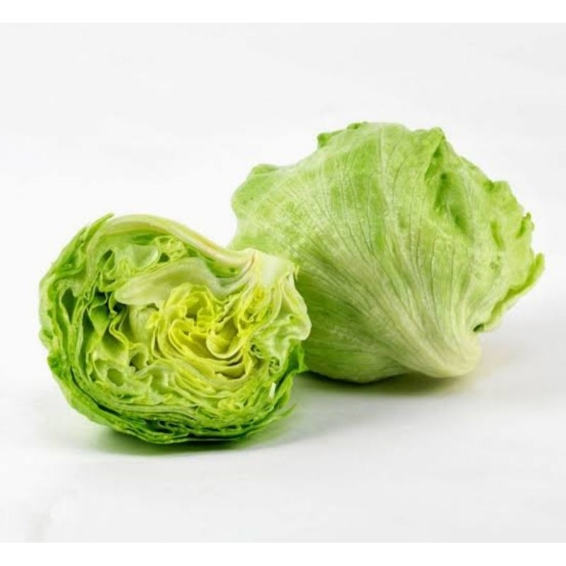 

Lettuce Head / Letus Berat 1 Kg