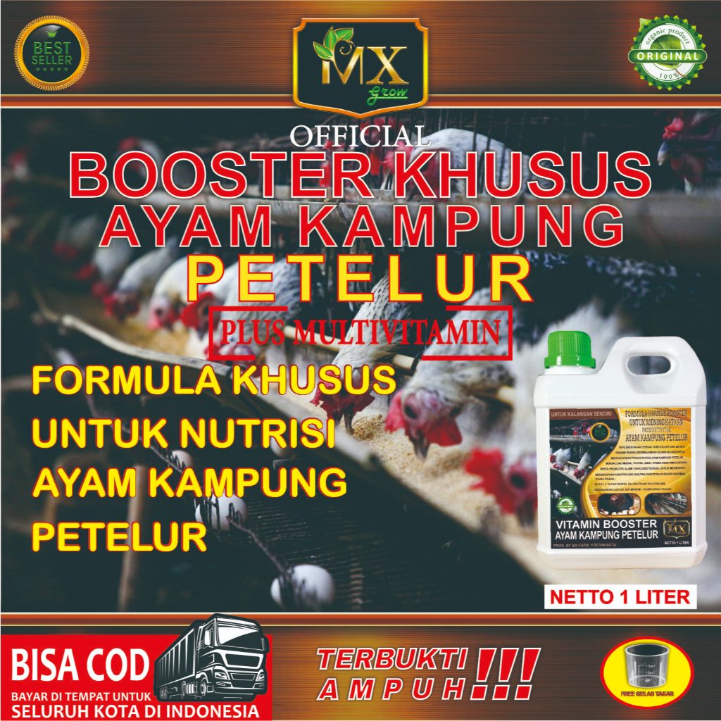 VITAMIN BOOSTER PEMBESARAN AYAM KAMPUNG PETELUR / BOOSTER KHUSUS AYAM KAMPUNG PETELUR 1 LITER