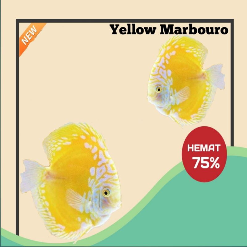 

Packing Styrfm Yellow Marbourou // 1 Inc