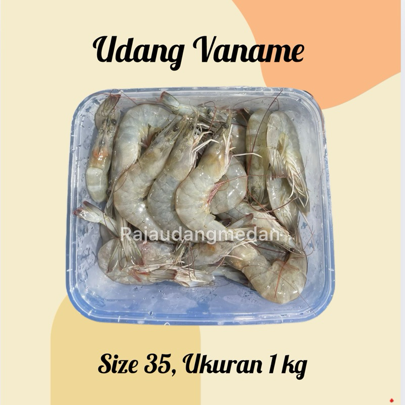 

UDANG VANAME FRESH LARGE SIZE 1 KG / UDANG TAMBAK FRESH / EBI FURAI TEPUNG/ FROZEN FOOD UDANG