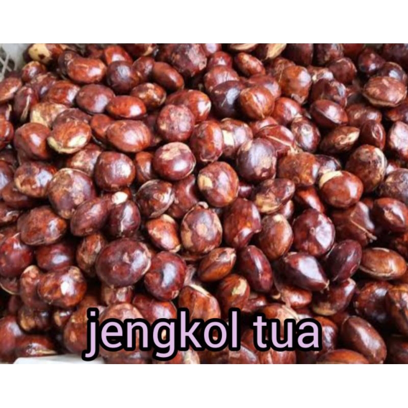 

JENGKOL TUA DAN BESAR RP 14.500 / 500 gram