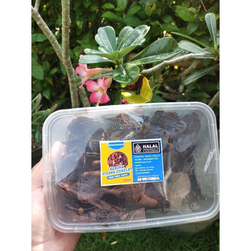 

BanaNafisa keripik pisang cokelat lumer/keripik pisang cokelat/keripik pisang coklat/keripik pisang