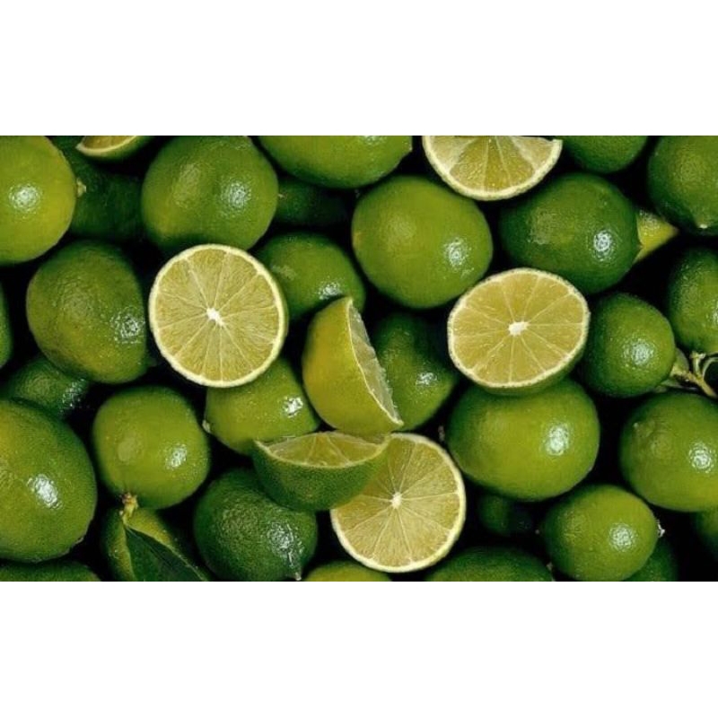 

JERUK NIPIS KEMASAN 1 KG