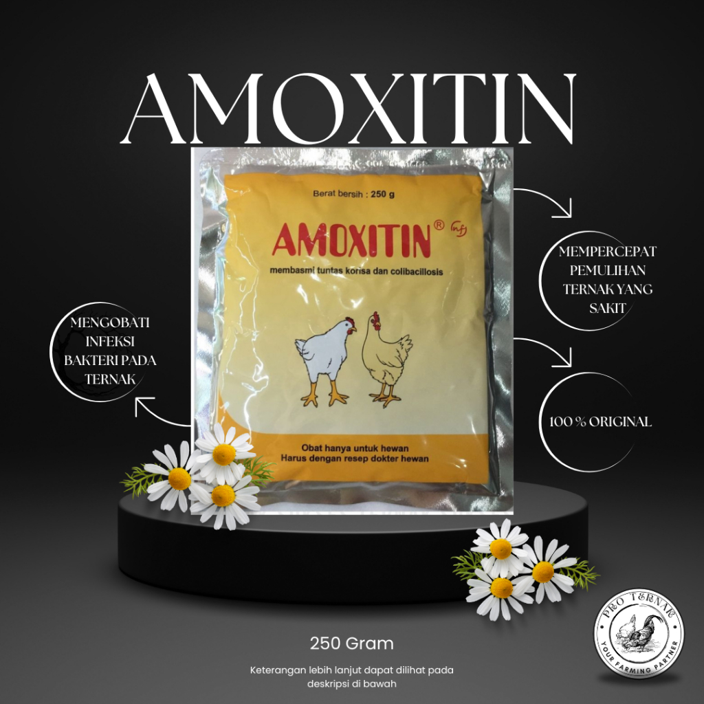 Amoxitin 250gr - Amoxitin - Obat ayam ngorok dan pilek antibiotik - Obat Korisa