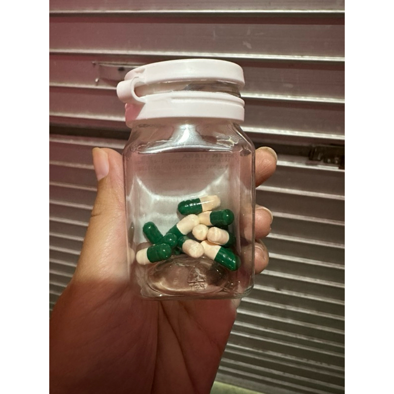 obat flu kucing ampuh