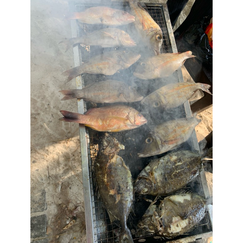 

Grilled Fish 1/750 grm