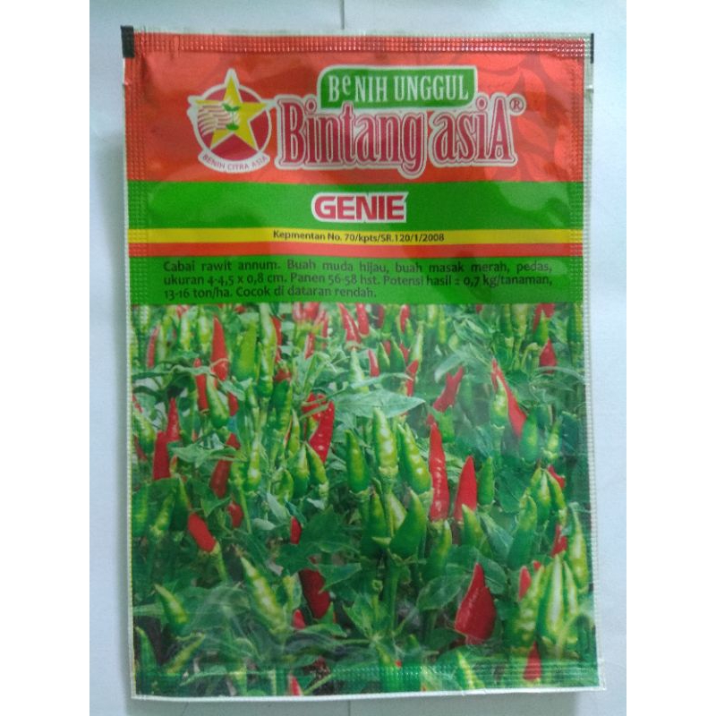 bibit cabai rawit unggul