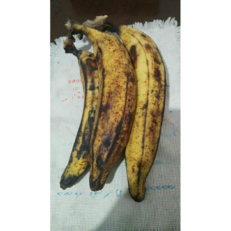 

pisang tanduk