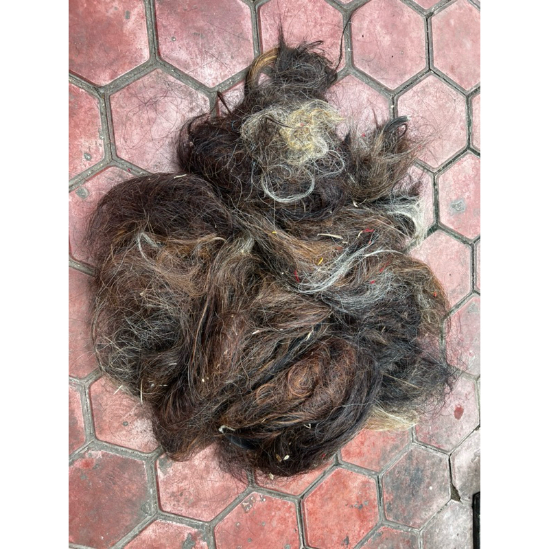 EKOR KUDA. RONTOKAN EKOR KUDA. BRODOLAN EKOR KUDA HARGA PER 1Kg