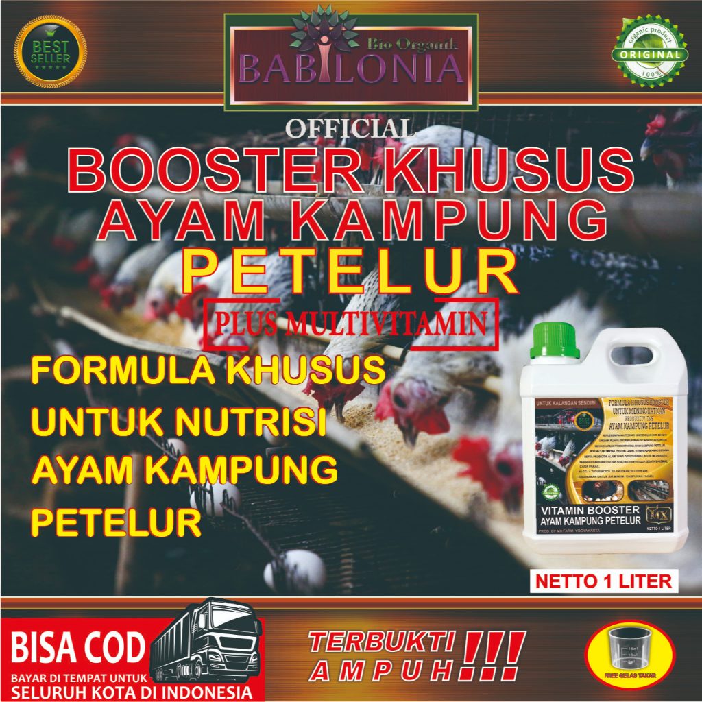 VITAMIN BOOSTER PEMBESARAN AYAM KAMPUNG PETELUR / BOOSTER KHUSUS AYAM KAMPUNG PETELUR 1 LITER.