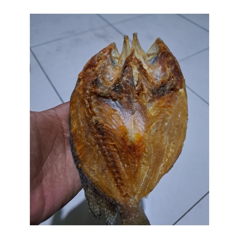 

ikan asin kerapu
