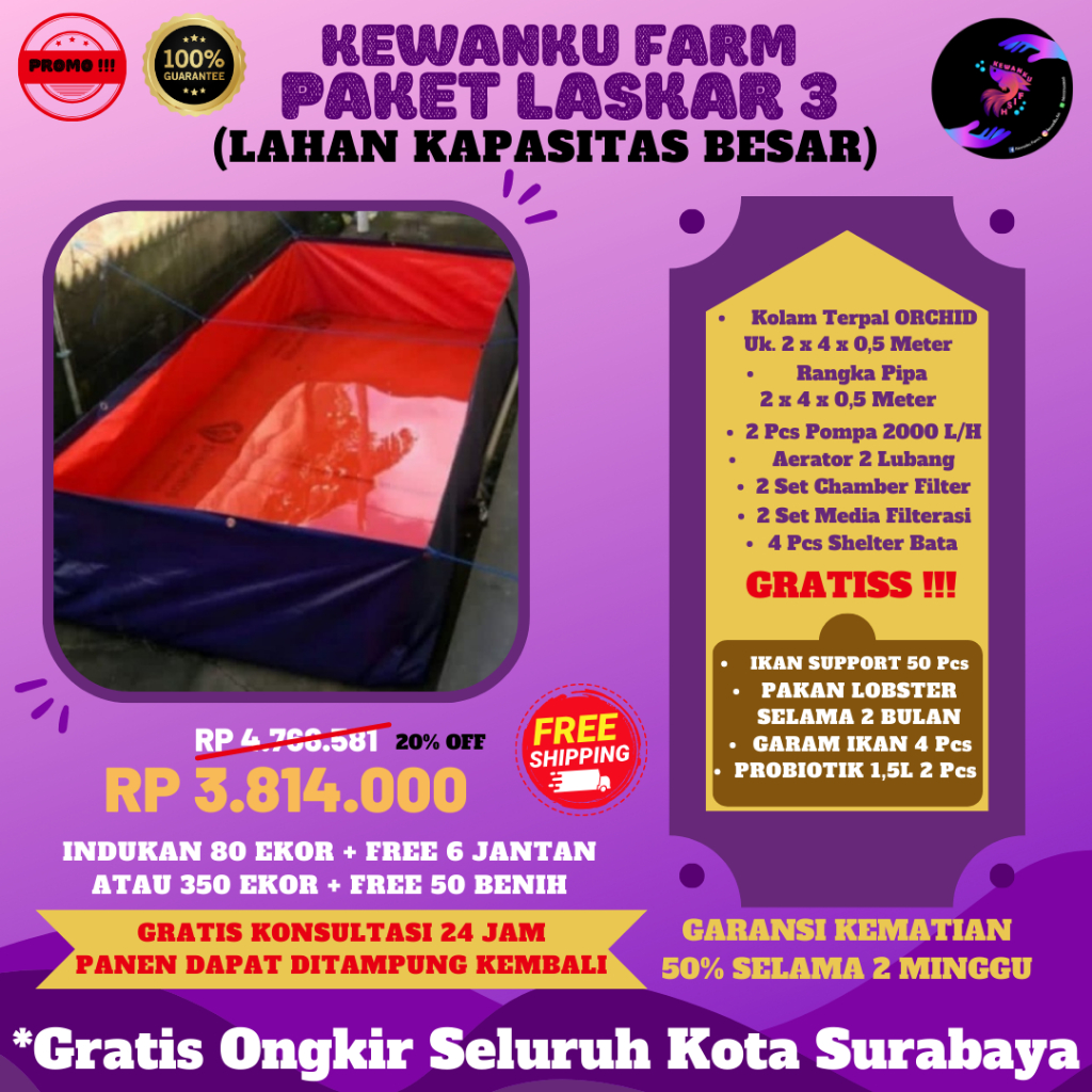 

Paket Kemitraan Lobster Air Tawar Red Claw Konsumsi Free Ongkir Laskar 3